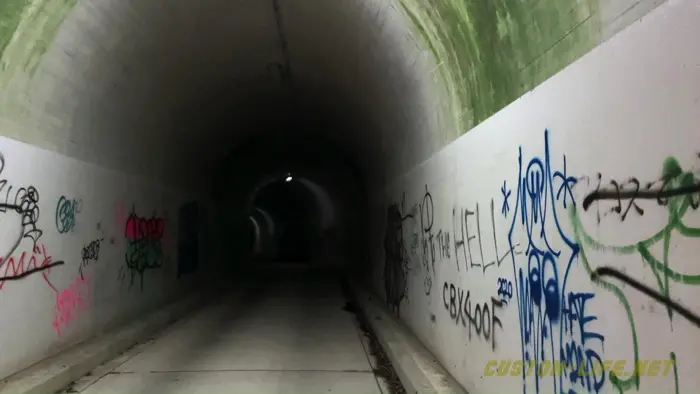 行ってみて分かる 大阪の心スポ 犬鳴トンネル の怖さ カスタムライフ 廃墟心霊秘境スポット凸部