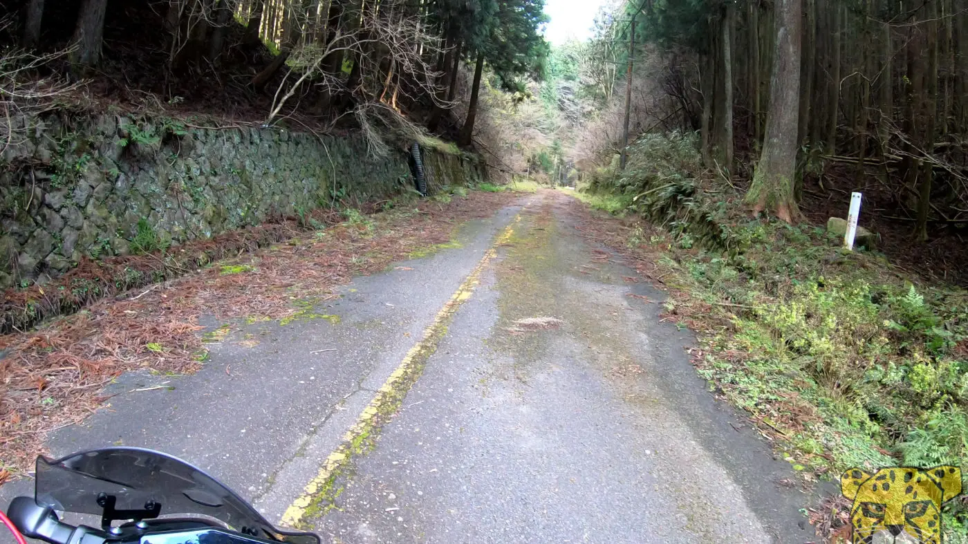 三重の山奥の巨大廃トンネル 旧長野隧道 は終末感ある癒やしスポット カスタムライフ 廃墟心霊秘境スポット凸部