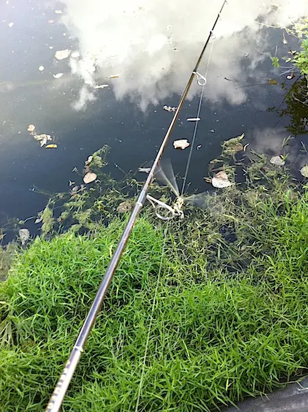 バス釣り アーカイブ 2ページ目 5ページ中 カスタムライフ