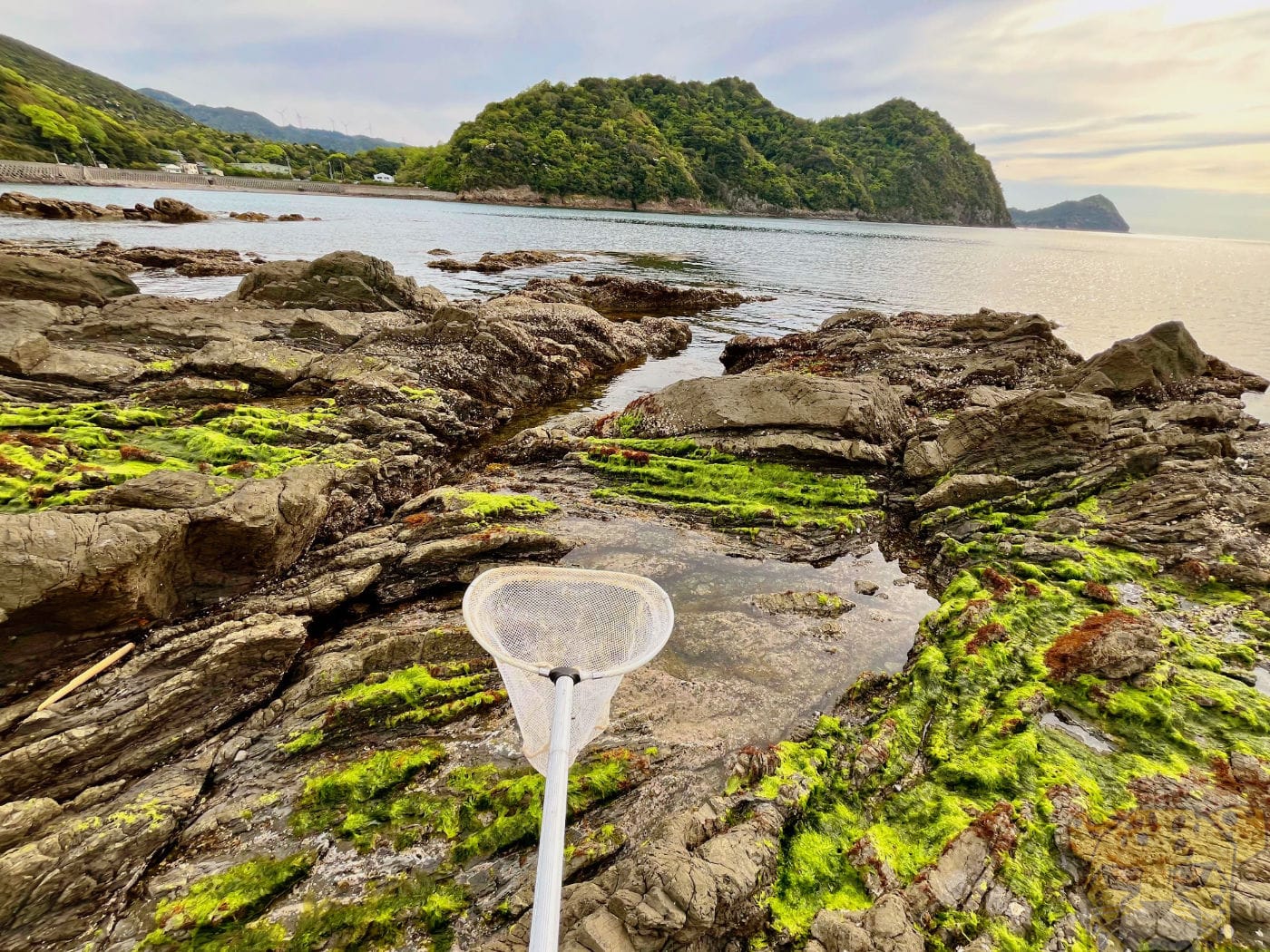 202505umiikutouring 2