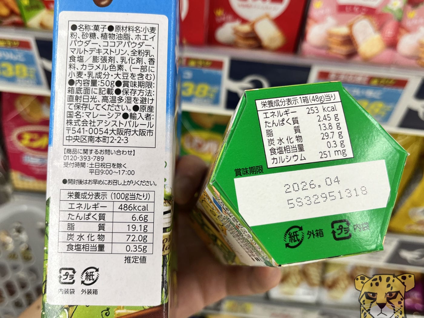 Koalanomarchjanaiyatsu 3