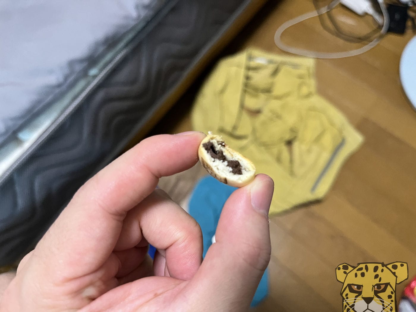 Koalanomarchjanaiyatsu 5