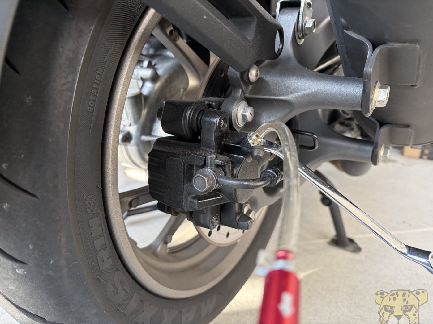 Xforce nmax brakefluidreplacement 13