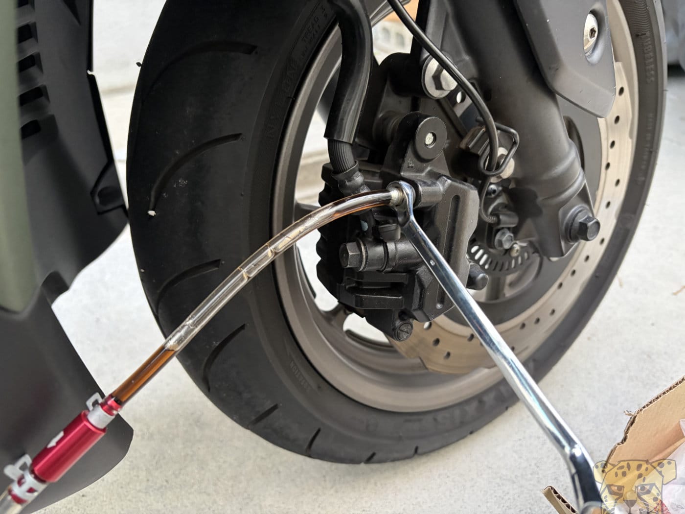 Xforce nmax brakefluidreplacement 8