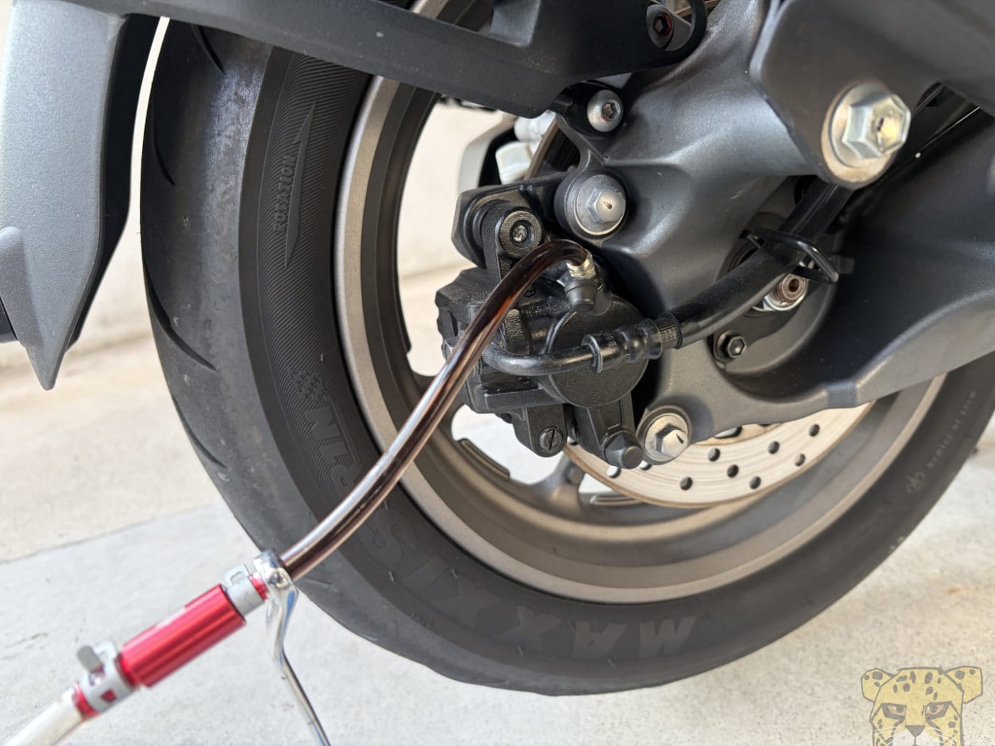 Xforce nmax brakefluidreplacement 9