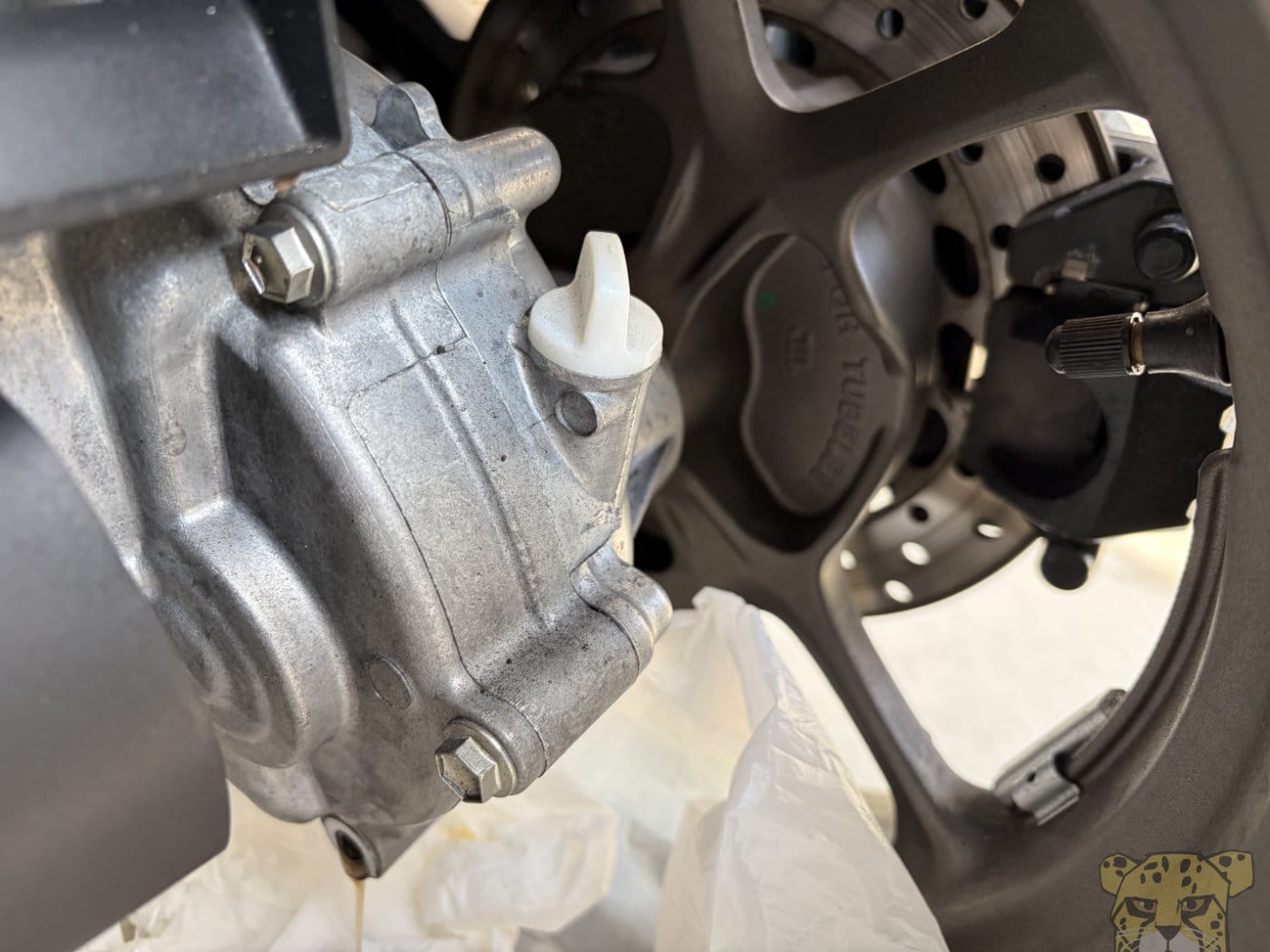 xforcegearoil-4.jpg Xforcegearoil 4