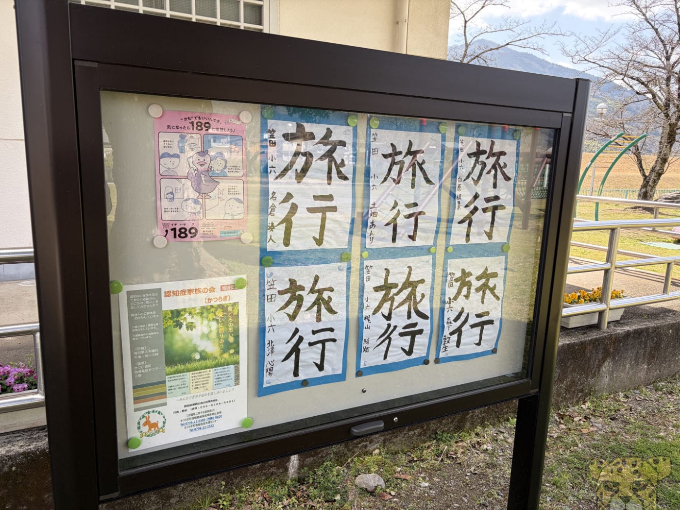 sokkousakura-1.jpg Sokkousakura 1