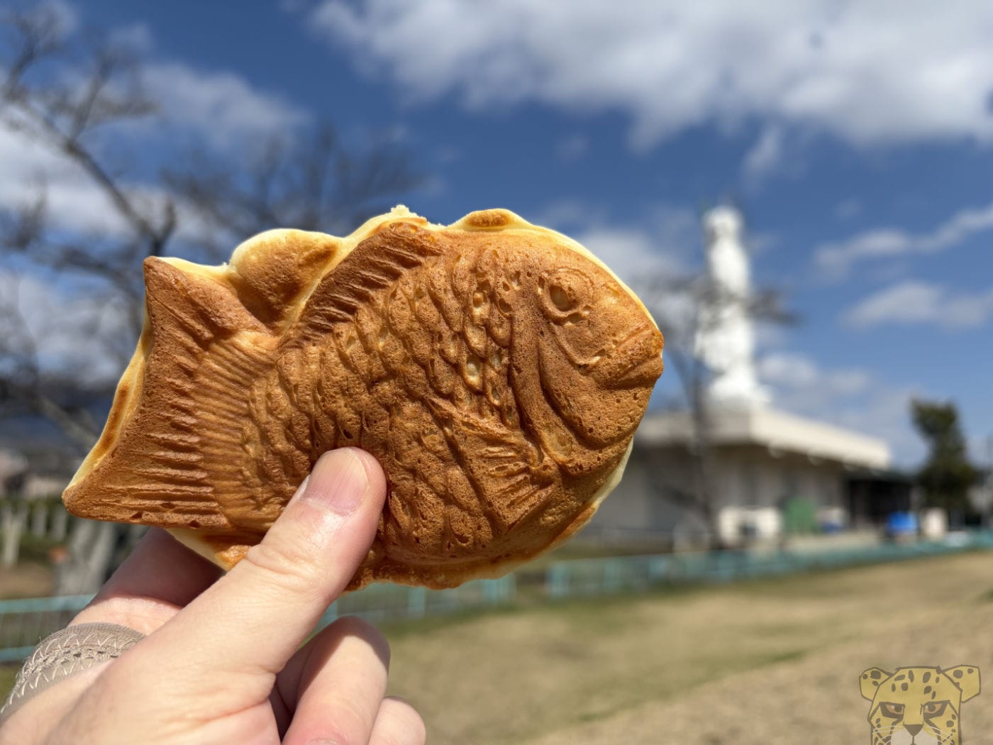 sokkousakura-3.jpg Sokkousakura 3