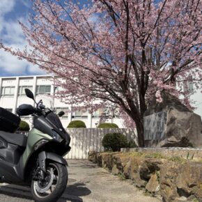 3月上旬に咲く日本最速の桜からの鯛焼き和歌山ツーリング（本当はツーリングでもなんでもないけどそういうことにしておく）