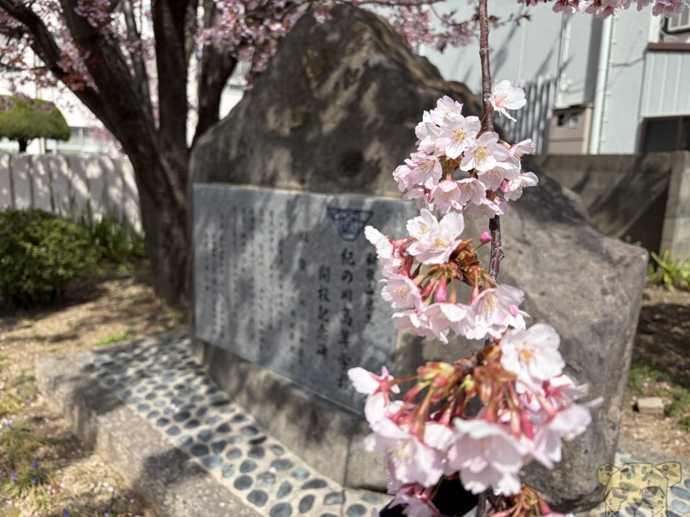 sokkousakura-8.jpg Sokkousakura 8