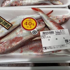 スーパーで大量売れ残りの珍魚ヒメジを食べてみた