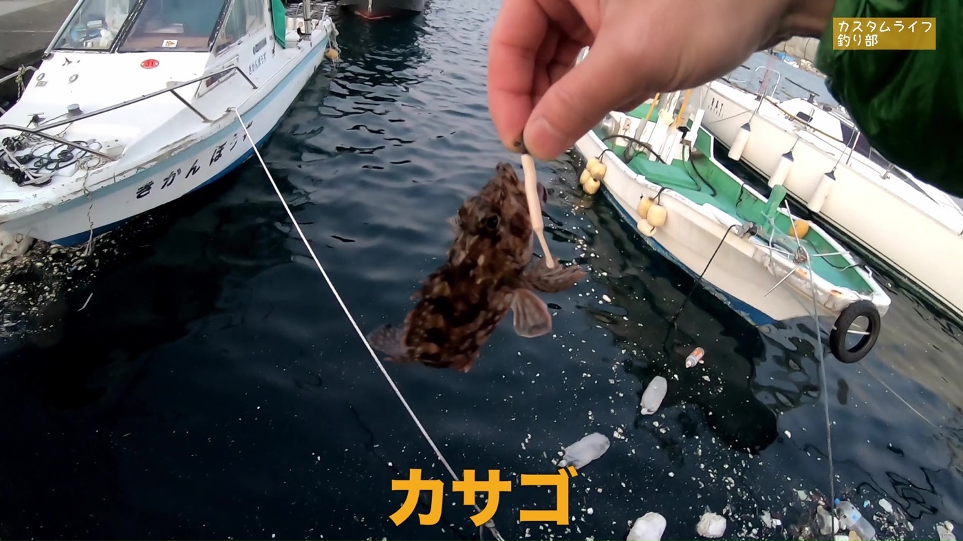 Nanki rockfishing 05